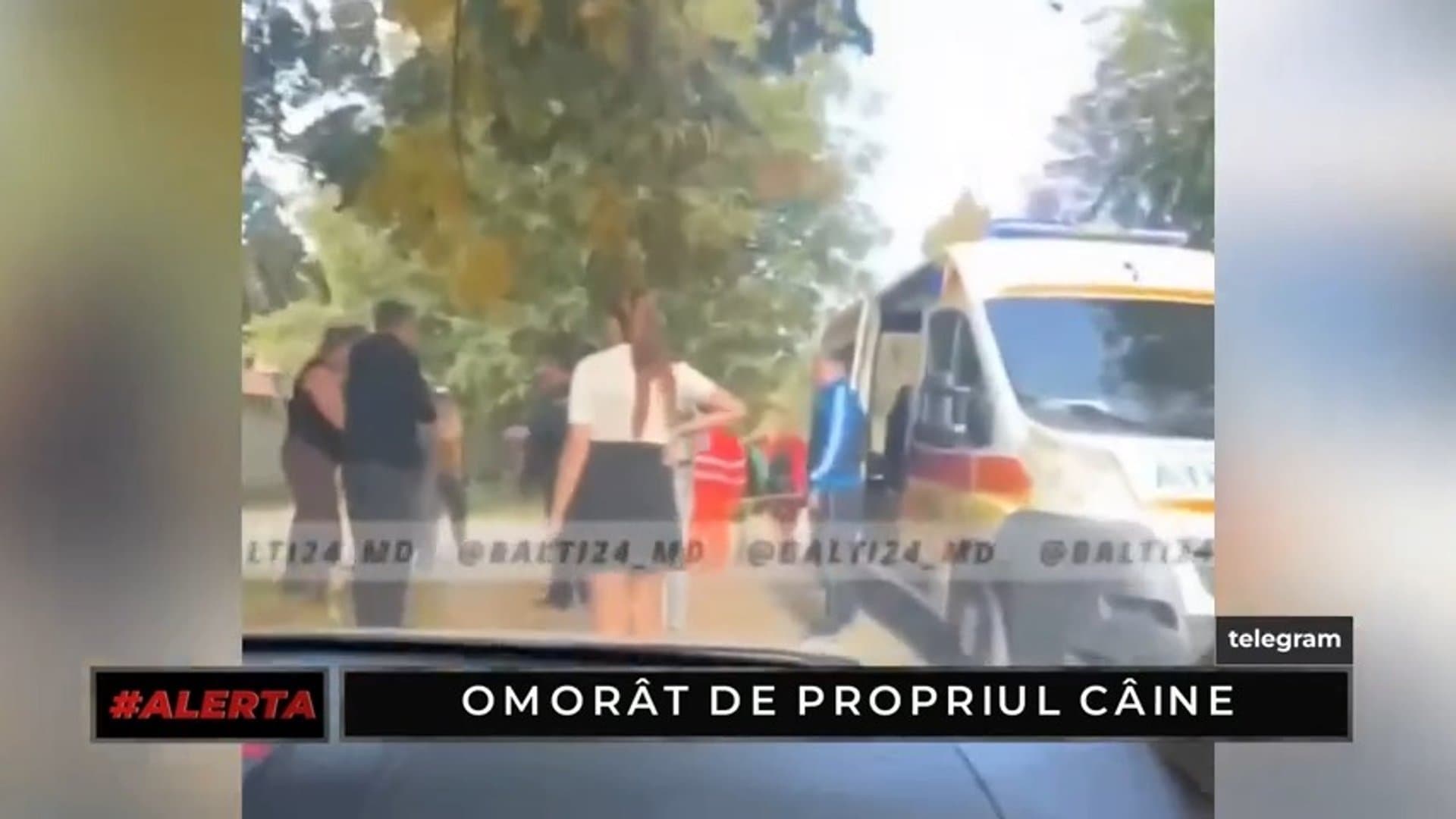 ALERTA: Un bărbat de 58 de ani din Vulcănești și-a pierdut viața după ce a fost sfâșiat de propriul câine /12.10.2026