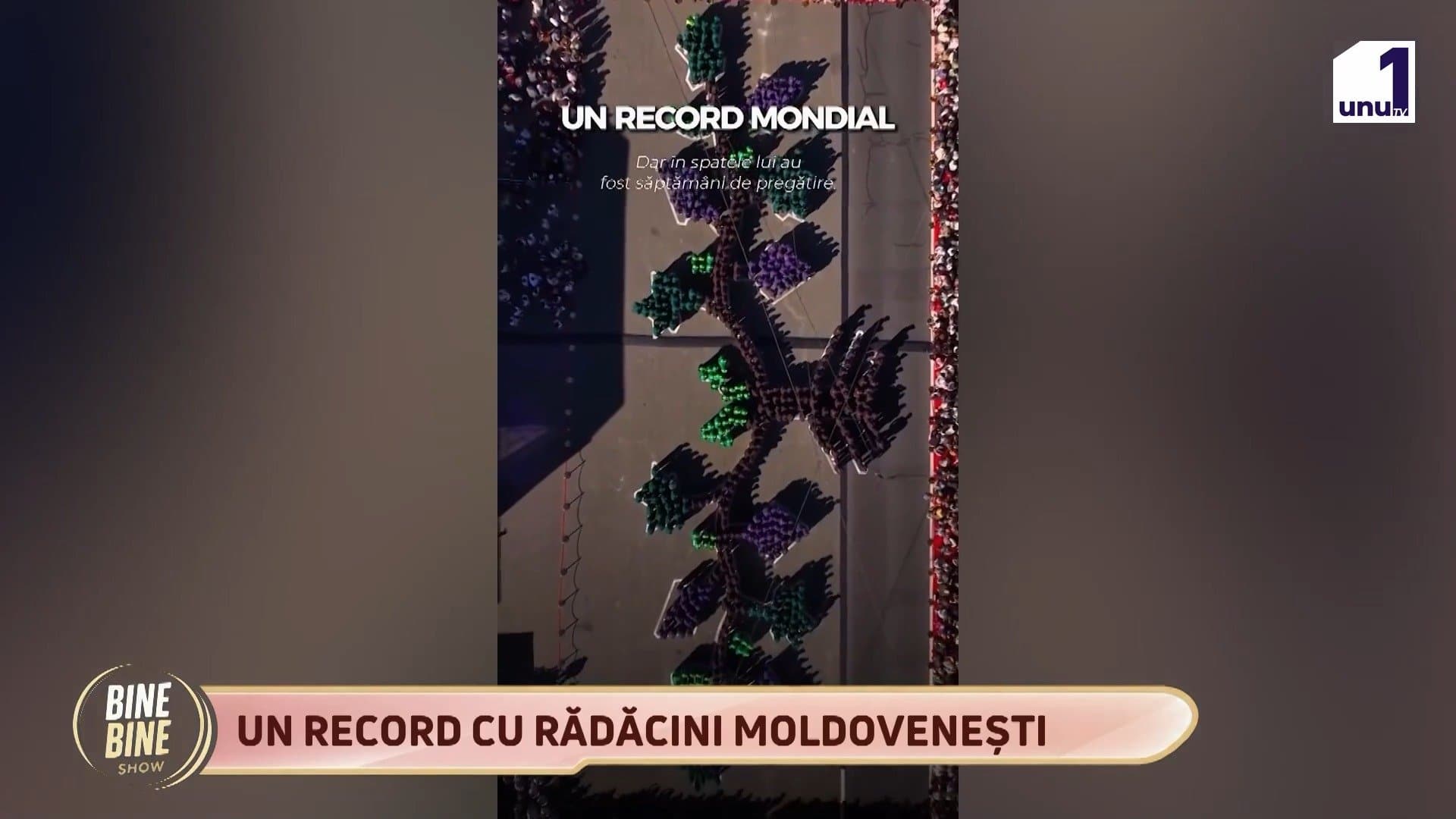 BINEBINE SHOW: Ariana Trofim și Nicoleta Corolețchi ne povestesc de cea mai mare reprezentare umană a unei vițe-de-vie /12.10.2026