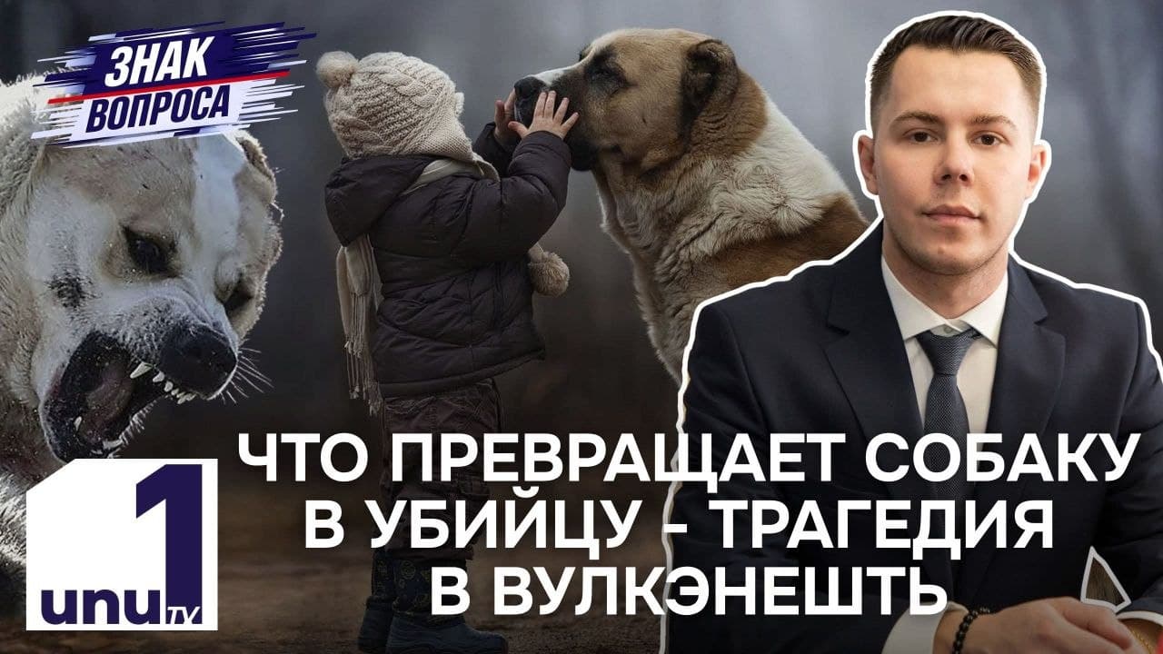 Знак вопроса: Трагедия в Вулканештах /Скандальная сделка. Трампа и Путина /12.10.2026